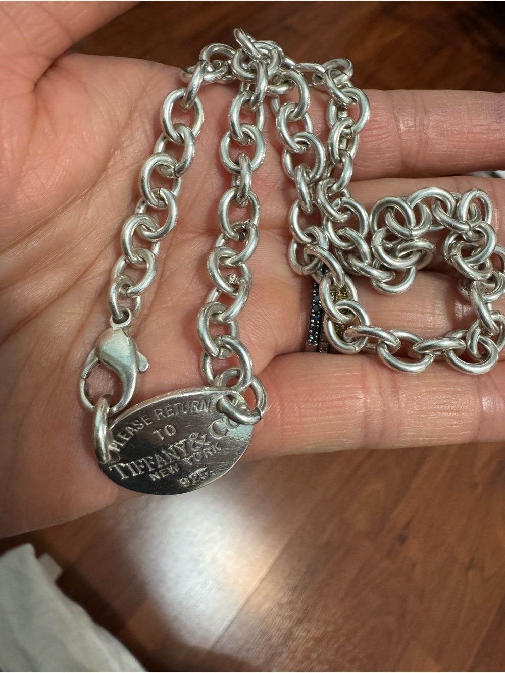 Tiffany & Co. Sterling Silver Oval Tag Link Necklace - Silver Tone